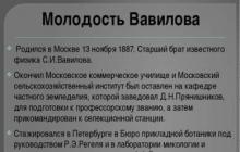 Доклад: Вавилов Николай Иванович Научная деятельность и дальнейший
жизненный путь