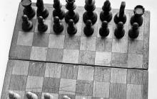 Proč zemřel nejmladší šachový šampion Ivan Bukavshin?