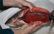Pravilno soljenje in shranjevanje kaviarja rdečega roza lososa doma