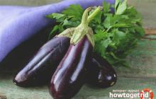 Eggplants: benefits and contraindications